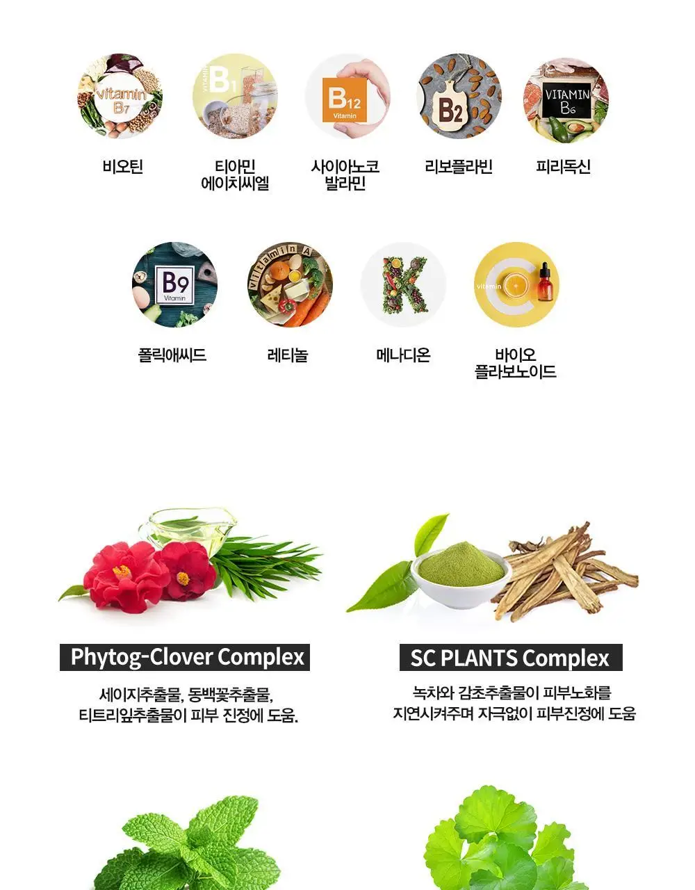 [땀냄새 제거] 다슈 솔루션 퍼퓸 데오 바디스프레이 200ml 기획/단품 (프레쉬향) 상세페이지 22